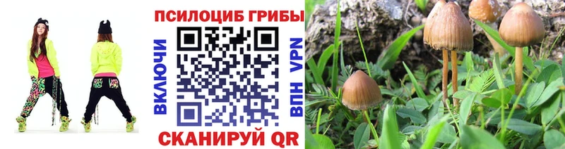 Псилоцибиновые грибы Magic Shrooms где купить наркотик Евпатория