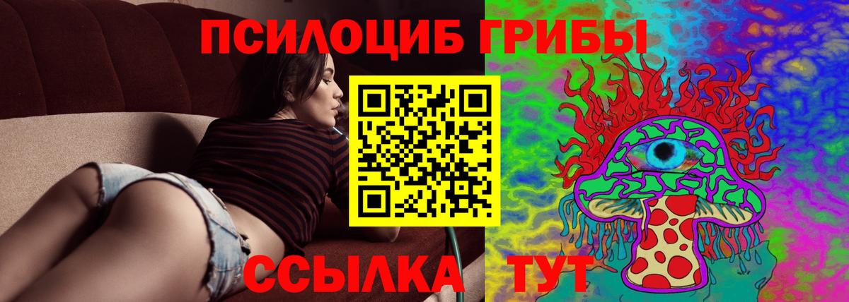 Псилоцибиновые грибы мухоморы  Вход с VPN  Евпатория  Псилоцибиновые грибы GOLDEN TEACHER 